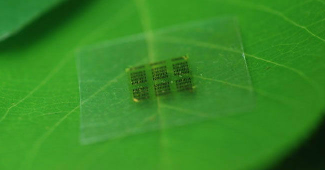 MICRO GREEN CHIP