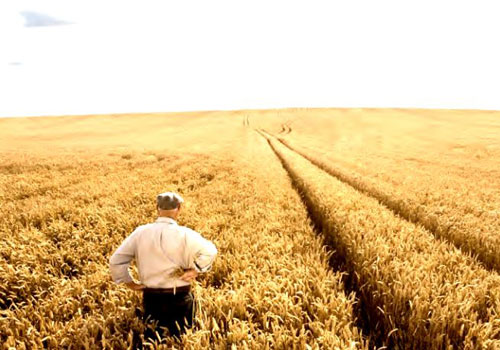 NUOVI MODELLI DI AGRICOLTURA SOSTENIBILE TRA TRADIZIONE E INNOVAZIONE