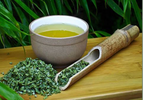 BAMBU’ A KM ZERO, LA PRIMA IMPRESA BIO CHE LO COLTIVA NELLA LANGHE PIEMONTESI