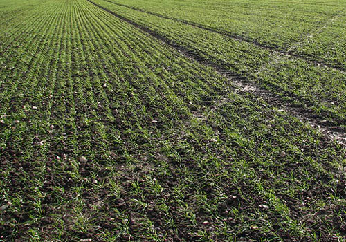 SPOT CONCIME BIO-VEGETAL: INGANNEVOLE PER IMPROPRIO RICHIAMO ALL’AGRICOLTURA BIOLOGICA