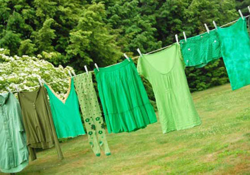 DETERSIVI GREEN GRAZIE AI BATTERI MARINI