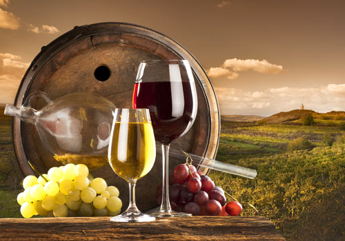 MAGIS: IL NUOVO MARCHIO PER I VINI HI-TECH E SOSTENIBILI