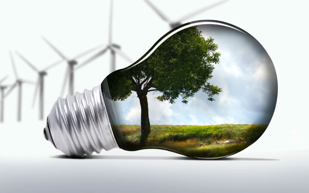 L'ELETTRICITÀ SI COLTIVA DALLE PIANTE
